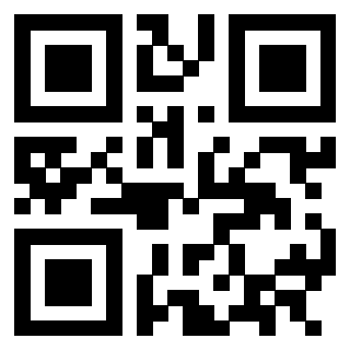 3302894049 - Immagine del QrCode
