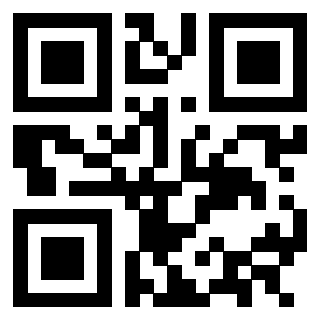 Il Qr Code di 3302894058