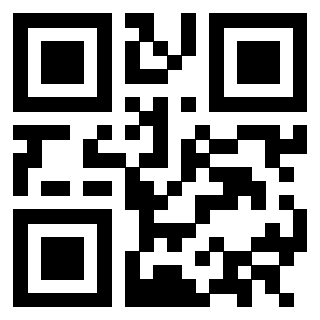 QrCode di 3302894248