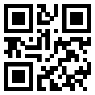QrCode di 3302894289