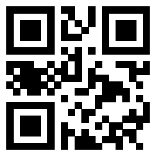 Il Qr Code di 3302894388
