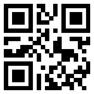 3302894491 - Immagine del Qr Code associato