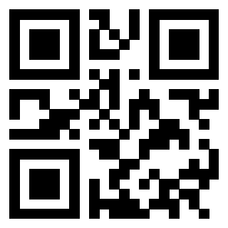 Il Qr Code di 3302894528