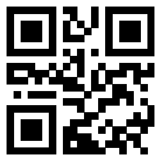 Il Qr Code di 3302894758