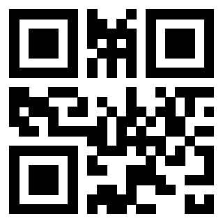 Il Qr Code di 3302894853