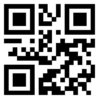Il Qr Code di 3302894865