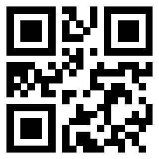 Il Qr Code di 3302894895