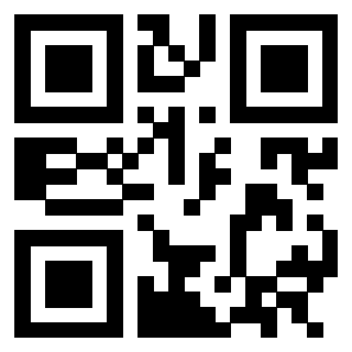 QrCode di 3302894957