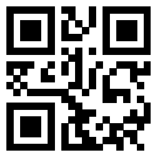 Il Qr Code di 3302895072