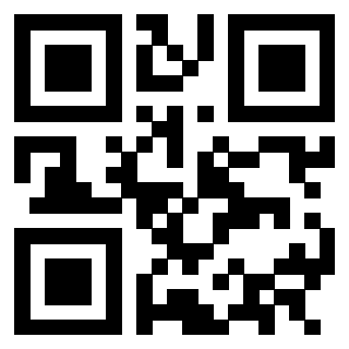 3302895238 Qr Code associato