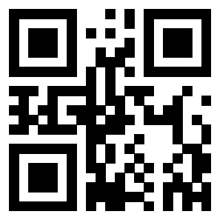 Il Qr Code di 3302895304