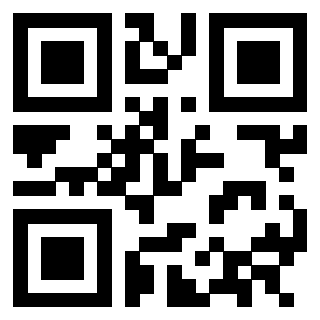 3302895336 Qr Code associato