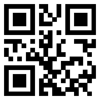 Il Qr Code di 3302895399