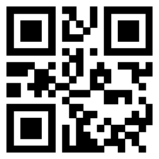 Il Qr Code di 3302895502