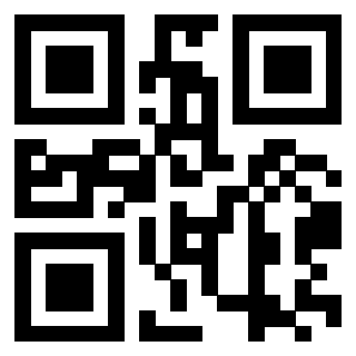 Il Qr Code di 3302895569
