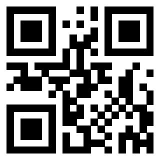 QrCode di 3302903338