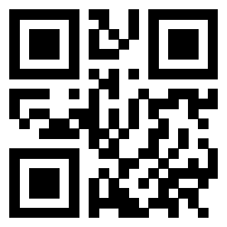 3302903784 - Immagine del QrCode