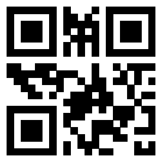 Il Qr Code di 3302903822