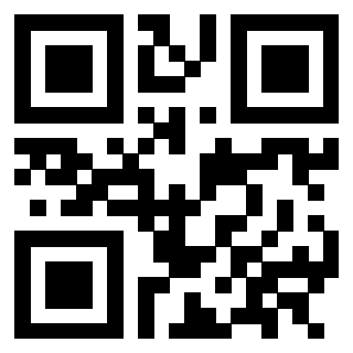 Il Qr Code di 3302903829