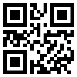 Il Qr Code di 3302903898