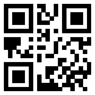 Il Qr Code di 3302904029