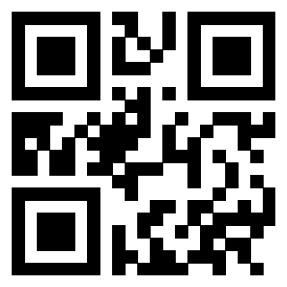 3302904053 - Immagine del QrCode