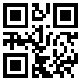 Il Qr Code di 3302904066