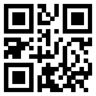 3302904075 - Immagine del QrCode
