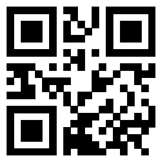 Il Qr Code di 3302904084