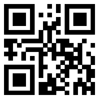 QrCode di 3302979221
