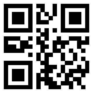 QrCode di 3302979273