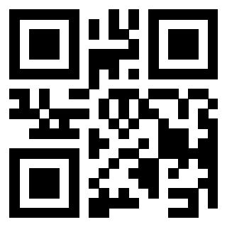QrCode di 3302979309