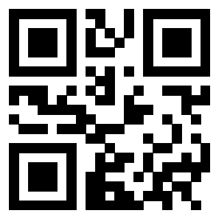 3302979313 QrCode associato