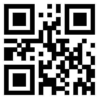QrCode di 3302979317