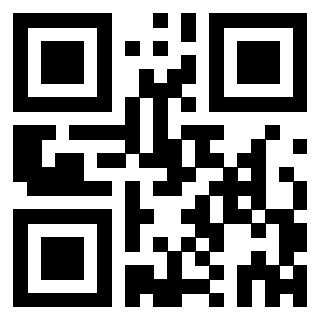 QrCode di 3302979337
