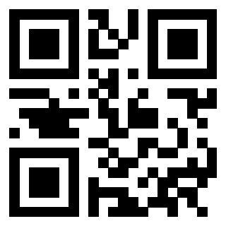 Il Qr Code di 3302979358