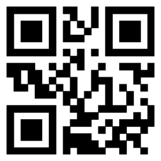 3302979384 - Immagine del Qr Code associato