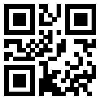 Il Qr Code di 3302979463