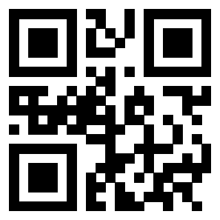 3302979505 - Immagine del QrCode