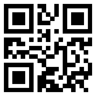 QrCode di 3302979617