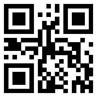 QrCode di 3302979724