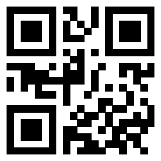 3302979919 - Immagine del Qr Code associato