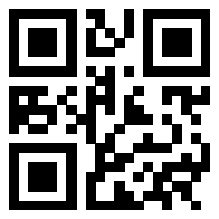 Il Qr Code di 3302979974