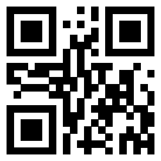 Il Qr Code di 3302979993