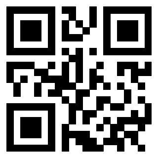 QrCode di 3302979998