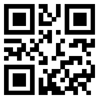 3302995629 - Immagine del QrCode