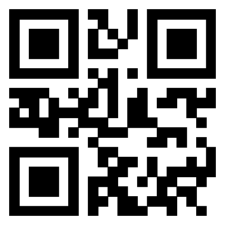 QrCode di 3302995713