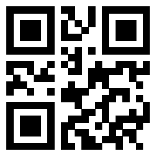 3302995865 - Immagine del QrCode