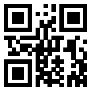 Il Qr Code di 3302995942
