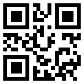 Il Qr Code di 3302995957